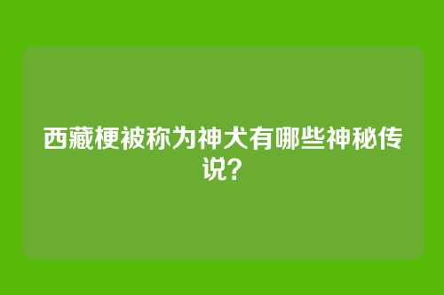 西藏梗被称为神犬有哪些神秘传说?