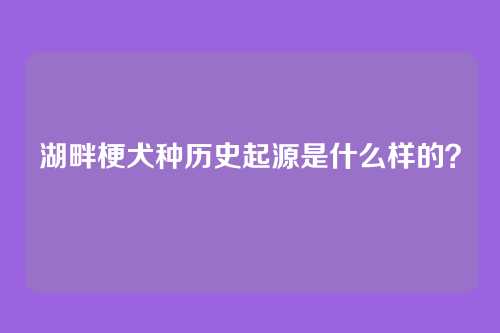 湖畔梗犬种历史起源是什么样的？