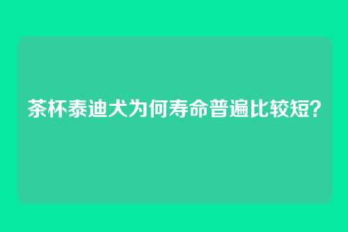 茶杯泰迪犬为何寿命普遍比较短？