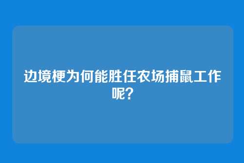 边境梗为何能胜任农场捕鼠工作呢？