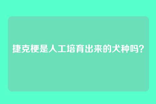 捷克梗是人工培育出来的犬种吗?