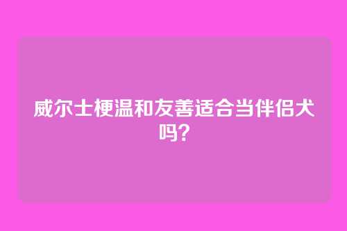 威尔士梗温和友善适合当伴侣犬吗？