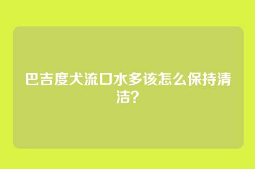 巴吉度犬流口水多该怎么保持清洁？