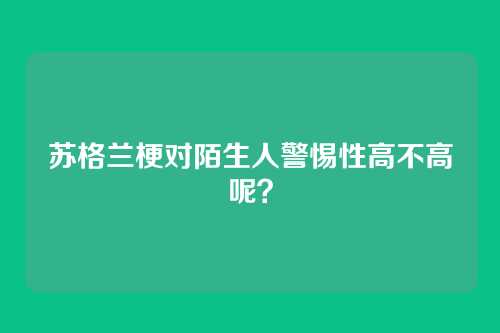 苏格兰梗对陌生人警惕性高不高呢？