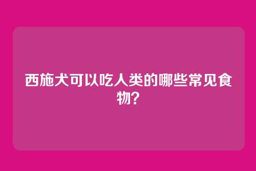 西施犬可以吃人类的哪些常见食物？