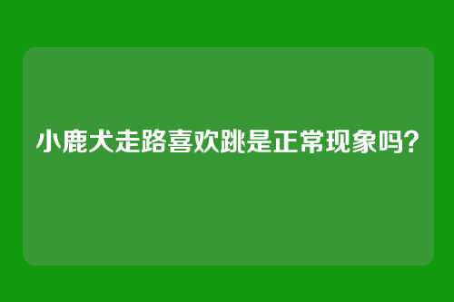 小鹿犬走路喜欢跳是正常现象吗？