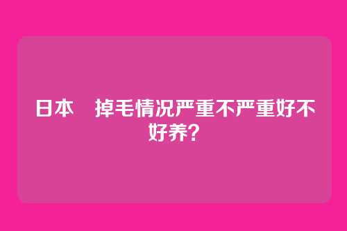 日本狆掉毛情况严重不严重好不好养？