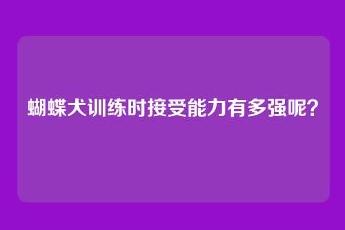 蝴蝶犬训练时接受能力有多强呢？