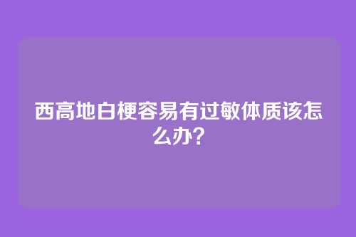 西高地白梗容易有过敏体质该怎么办?