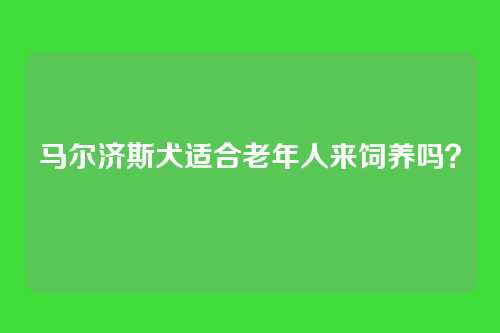 马尔济斯犬适合老年人来饲养吗？