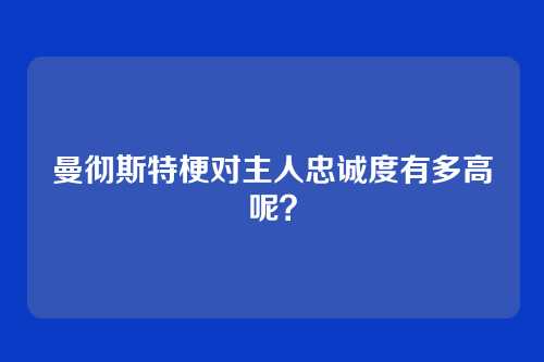 曼彻斯特梗对主人忠诚度有多高呢？