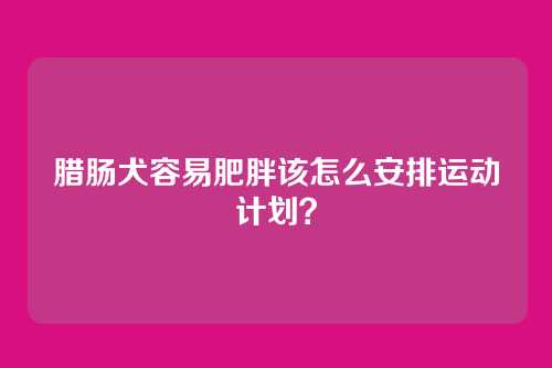 腊肠犬容易肥胖该怎么安排运动计划？