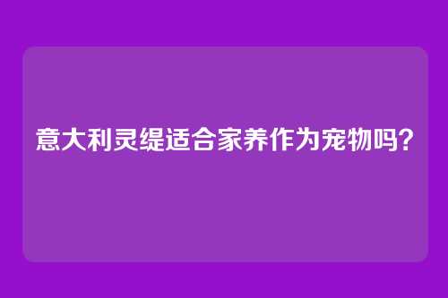 意大利灵缇适合家养作为宠物吗?