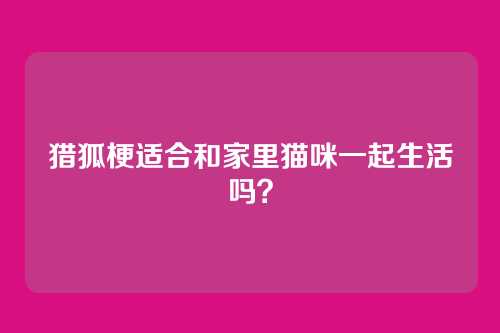 猎狐梗适合和家里猫咪一起生活吗？
