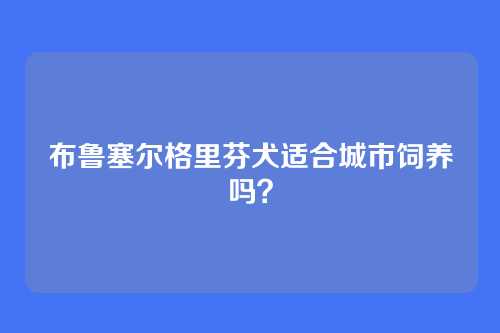 布鲁塞尔格里芬犬适合城市饲养吗?