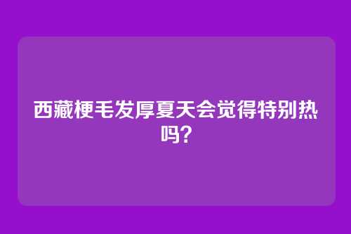 西藏梗毛发厚夏天会觉得特别热吗？