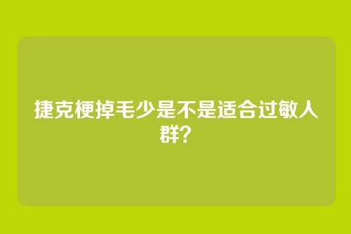 捷克梗掉毛少是不是适合过敏人群？