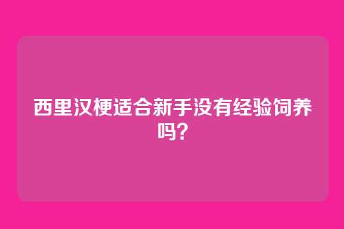 西里汉梗适合新手没有经验饲养吗？