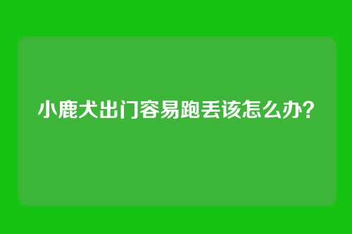 小鹿犬出门容易跑丢该怎么办？