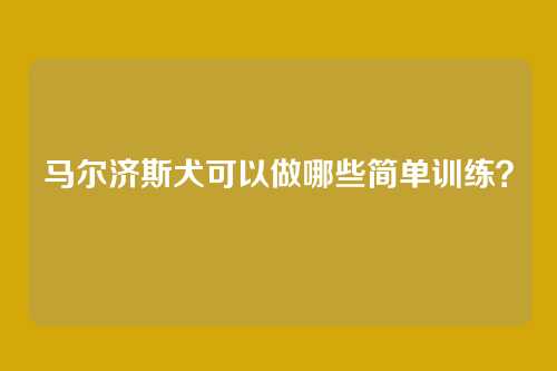 马尔济斯犬可以做哪些简单训练？