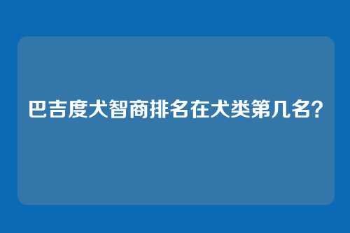 巴吉度犬智商排名在犬类第几名？