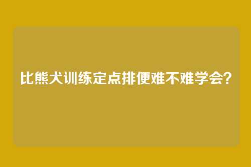 比熊犬训练定点排便难不难学会？