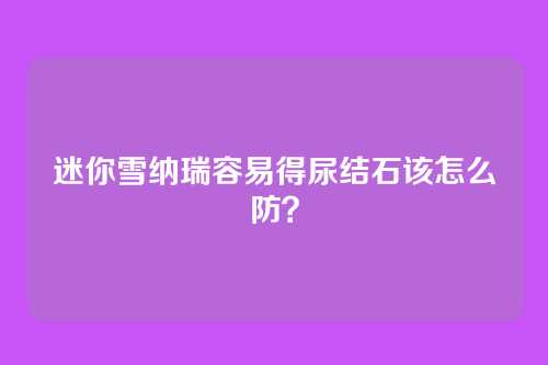 迷你雪纳瑞容易得尿结石该怎么防？