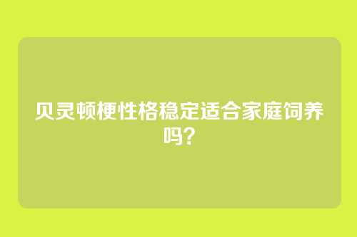 贝灵顿梗性格稳定适合家庭饲养吗？