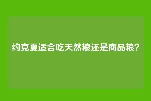 约克夏适合吃天然粮还是商品粮？