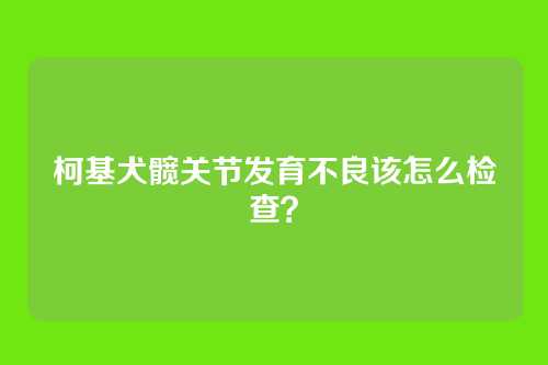 柯基犬髋关节发育不良该怎么检查？