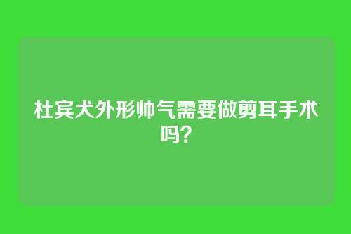 杜宾犬外形帅气需要做剪耳手术吗?