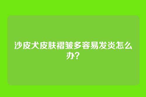 沙皮犬皮肤褶皱多容易发炎怎么办?