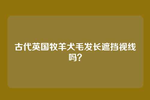 古代英国牧羊犬毛发长遮挡视线吗？