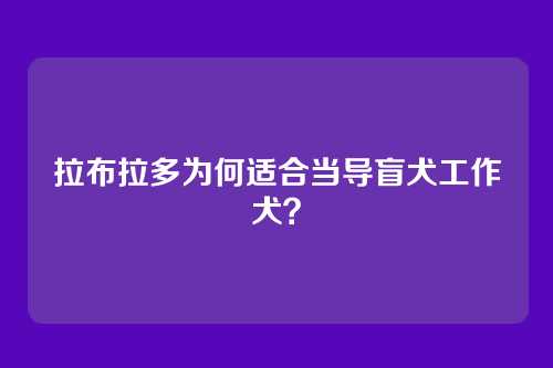 拉布拉多为何适合当导盲犬工作犬？