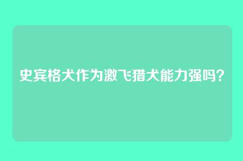 史宾格犬作为激飞猎犬能力强吗？