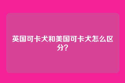 英国可卡犬和美国可卡犬怎么区分？