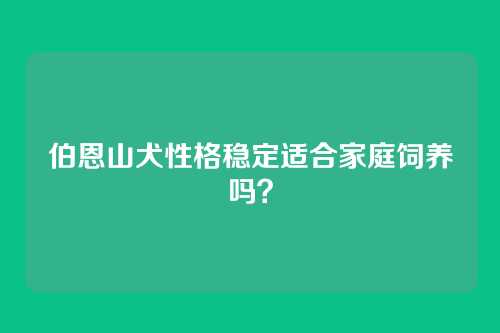 伯恩山犬性格稳定适合家庭饲养吗？