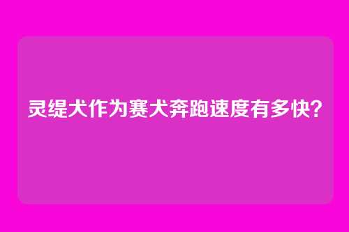 灵缇犬作为赛犬奔跑速度有多快？