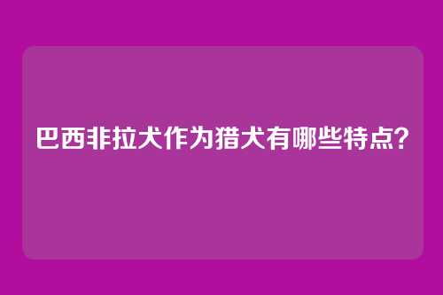 巴西非拉犬作为猎犬有哪些特点？