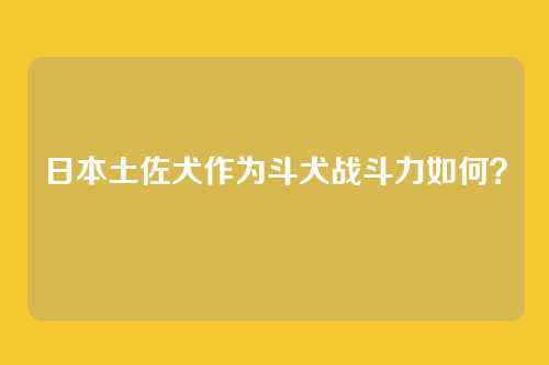 日本土佐犬作为斗犬战斗力如何？