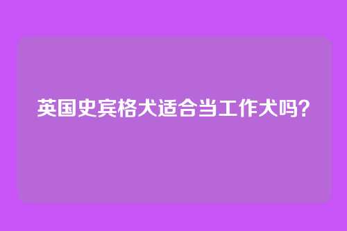 英国史宾格犬适合当工作犬吗？