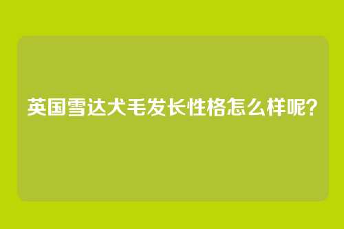 英国雪达犬毛发长性格怎么样呢？
