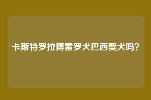 卡斯特罗拉博雷罗犬巴西獒犬吗？