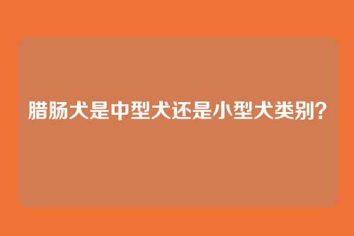 腊肠犬是中型犬还是小型犬类别？