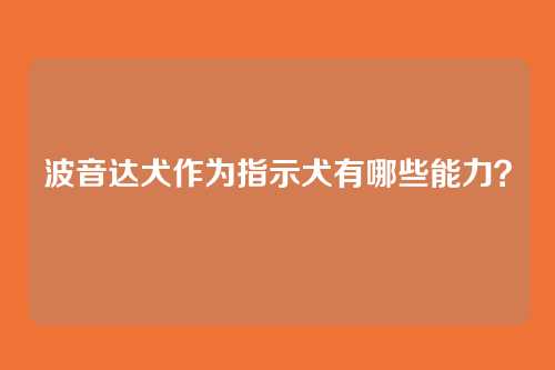 波音达犬作为指示犬有哪些能力？