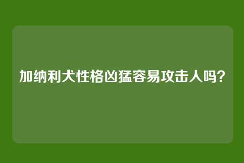 加纳利犬性格凶猛容易攻击人吗？