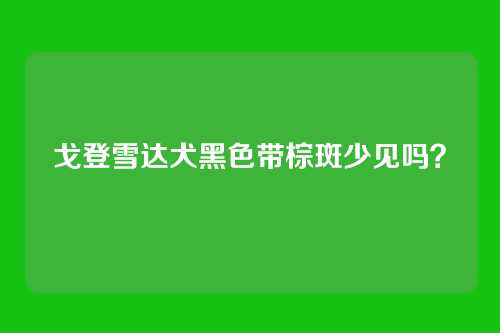 戈登雪达犬黑色带棕斑少见吗？