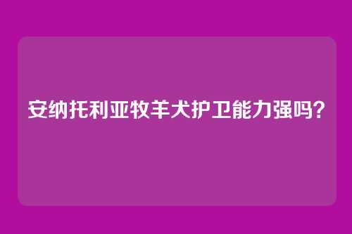 安纳托利亚牧羊犬护卫能力强吗？