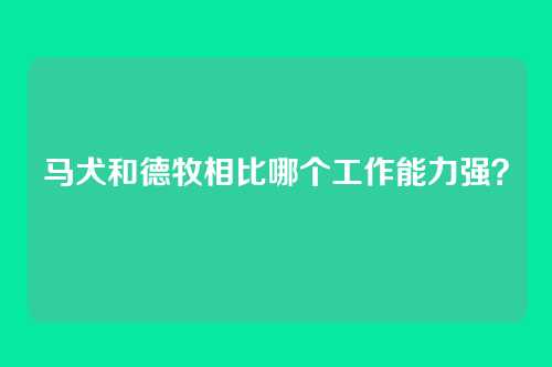 马犬和德牧相比哪个工作能力强？