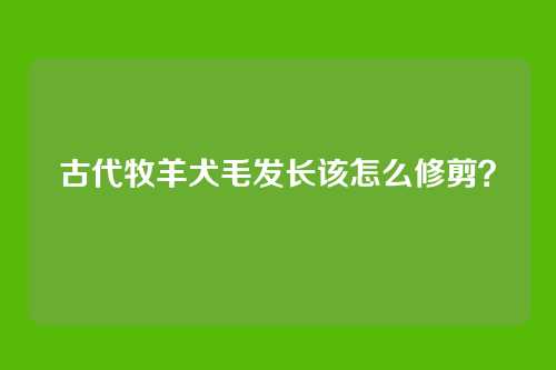 古代牧羊犬毛发长该怎么修剪？